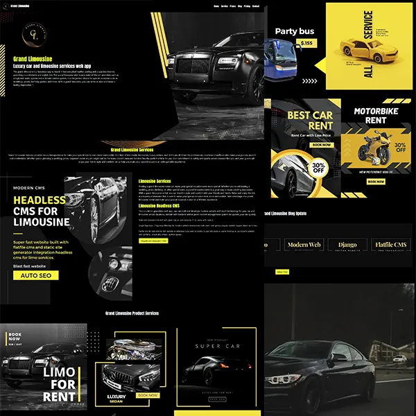 Modern SSG Limousine